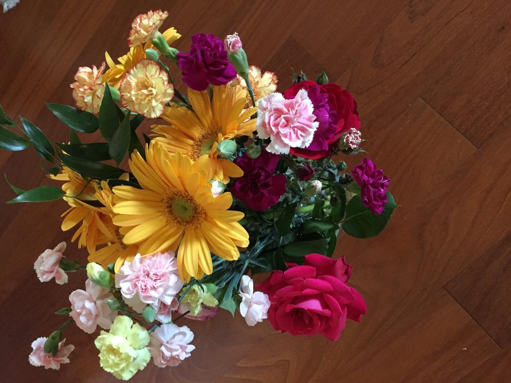 Guesthouse Flora Lodi Zewnętrze zdjęcie