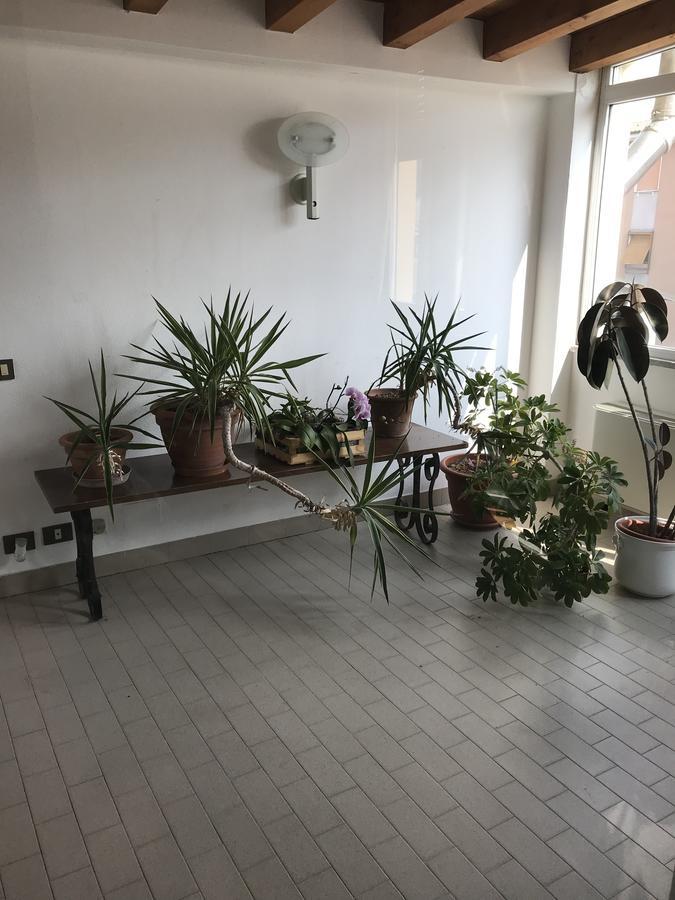 Guesthouse Flora Lodi Zewnętrze zdjęcie